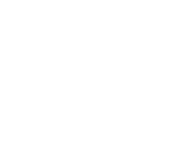 Logo Meu Visto