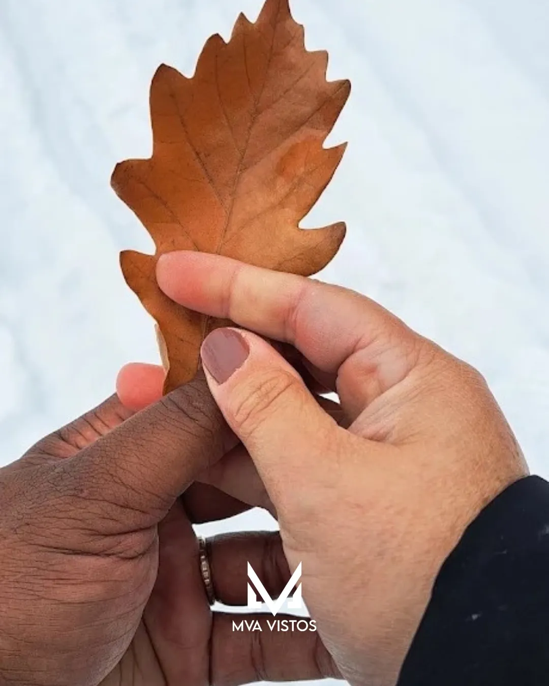 Casal segurando uma folha de outono na neve após o visto canadense aprovado pela MVA Vistos
